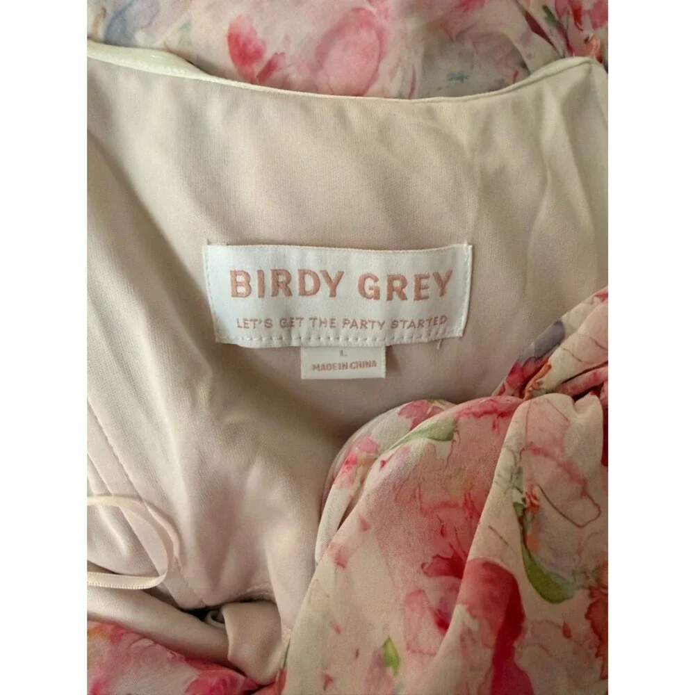 NWT Birdy Grey Mira Dress in Chiffon Pink Falling Petals